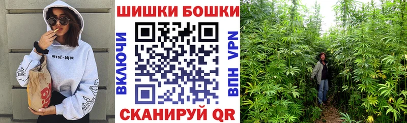 Купить закладку Alpha PVP  Меф мяу мяу  ГАШИШ  Няндома