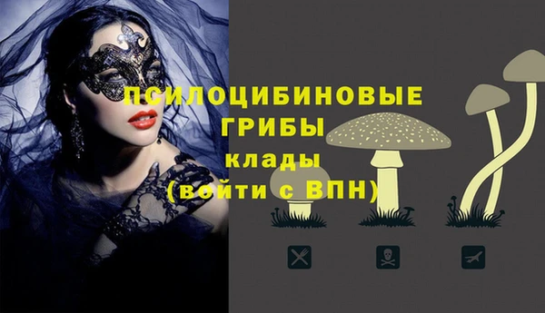 mdma Костерёво