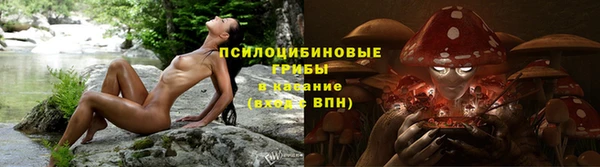 mdma Костерёво