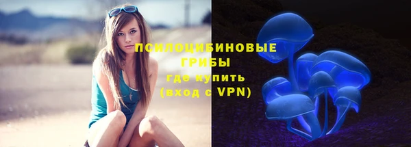первитин Коряжма