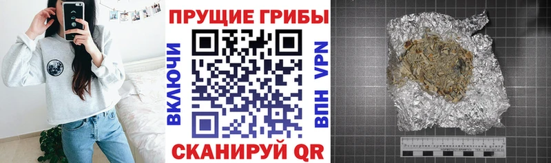 Псилоцибиновые грибы мицелий  Купить  Няндома 